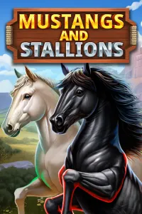 Mustang and Stallions